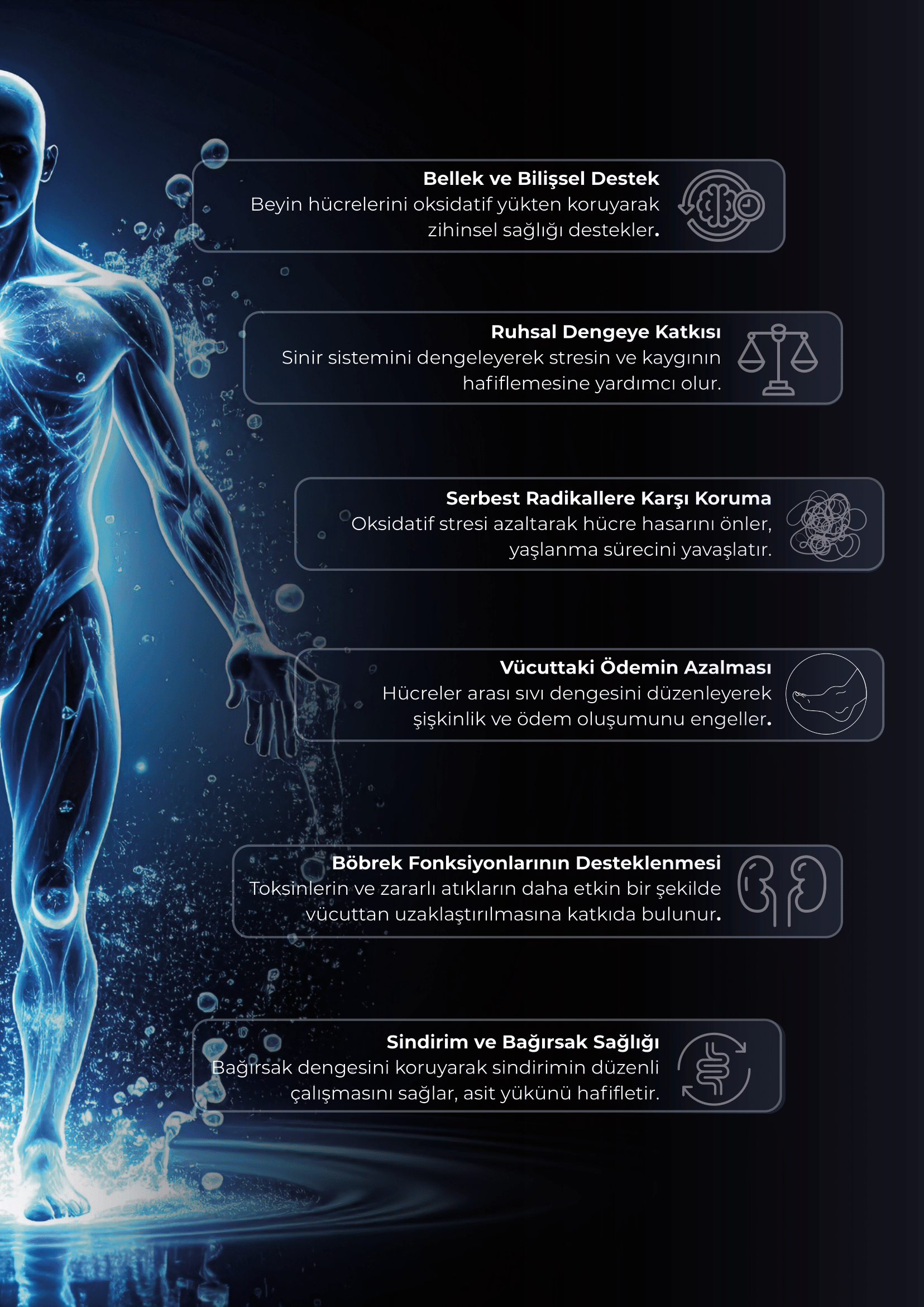 Vücut Sağlığı Etkileri 2